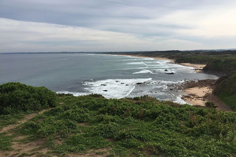 Half Day Phillip Island Woolamai Walking Tour - Accommodation BNB 10
