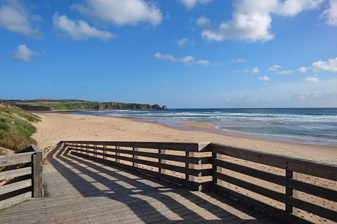 Half Day Phillip Island Woolamai Walking Tour - Accommodation BNB 15