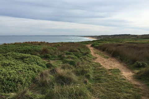 Half Day Phillip Island Woolamai Walking Tour - Accommodation BNB 3