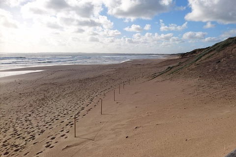 Half Day Phillip Island Woolamai Walking Tour - Accommodation BNB 7