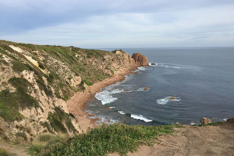 Half Day Phillip Island Woolamai Walking Tour - Accommodation BNB 2