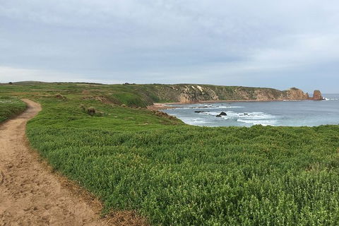 Half Day Phillip Island Woolamai Walking Tour - Accommodation BNB 9