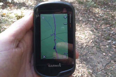 GPS Guided Walks In The Daylesford Forest - Accommodation BNB 0