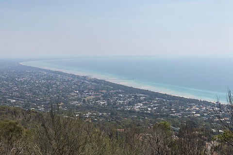 Mornington Peninsula Vegan Food Day Tour - Accommodation BNB 1