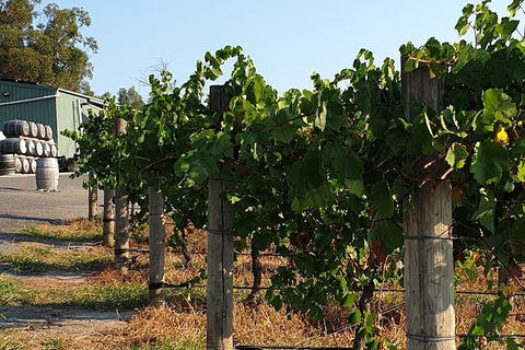 Wine Tasting Tour In The Yarra Valley - Accommodation BNB 2