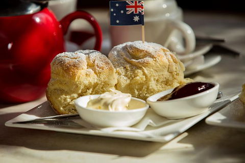 Half Day Puffing Billy Train Journey From Melbourne - Accommodation BNB 1