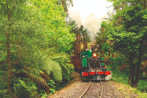 Half Day Puffing Billy Train Journey From Melbourne - Accommodation BNB 2