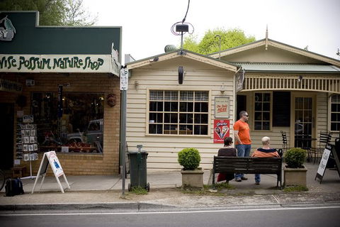Half Day Puffing Billy Train Journey From Melbourne - Accommodation BNB 10