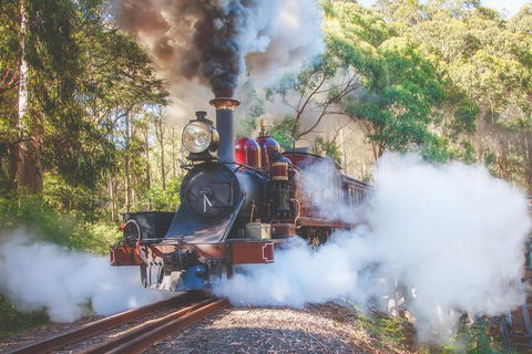 Half Day Puffing Billy Train Journey From Melbourne - Accommodation BNB 4