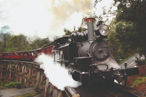 Half Day Puffing Billy Train Journey From Melbourne - Accommodation BNB 3