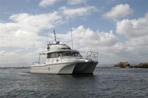 Bonnet Island Experience Departing From Strahan - Accommodation BNB 1