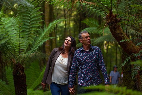 West Coast Wilderness Railway: River And Rainforest From Strahan - Accommodation BNB 1