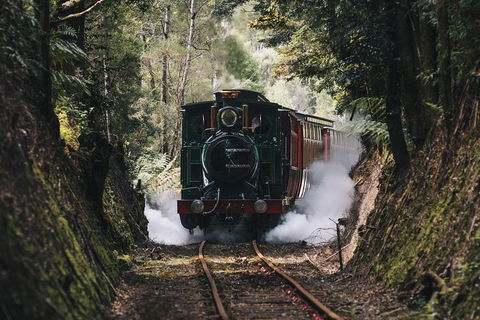 West Coast Wilderness Railway: River And Rainforest From Strahan - Accommodation BNB 2