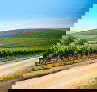 Full Day Tamar Valley Wine Tour - Accommodation BNB