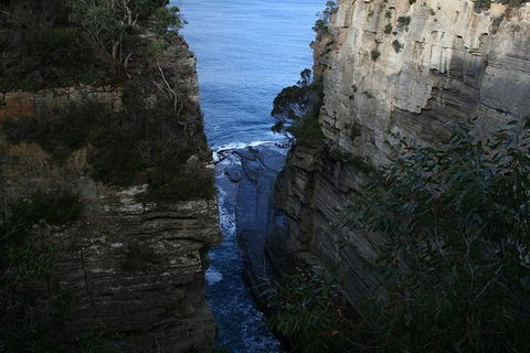 Cruise Ship Special From Port Arthur: Explore Tasman Peninsula With Free WiFi - Accommodation BNB 1