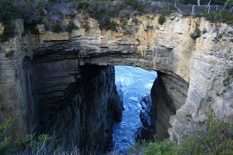 Cruise Ship Special From Port Arthur: Explore Tasman Peninsula With Free WiFi - Accommodation BNB 0