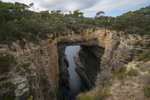 Cruise Ship Special From Port Arthur: Explore Tasman Peninsula With Free WiFi - Accommodation BNB 2