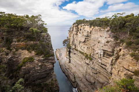 Cruise Ship Special From Port Arthur: Explore Tasman Peninsula With Free WiFi - Accommodation BNB 3