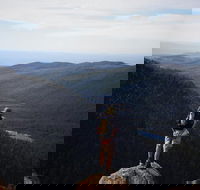 Mount Field National Park - Tarn Shelf  Russell Falls - Guided Hiking Tour - Accommodation BNB