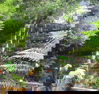 Mt Field National Park and Russell Falls from Hobart - Accommodation BNB