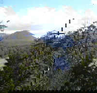 Huon Valley and Tahune Forest Airwalk Tour from Hobart - Accommodation BNB