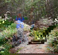 Hollybank Wilderness Adventures - Segway Tour - Accommodation BNB