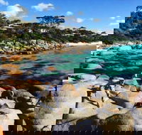 4-Day Tasmania East Coast Adventure from Launceston to Hobart Including Bay of Fires Wineglass Bay Bruny Island and Port Arthu - Accommodation BNB