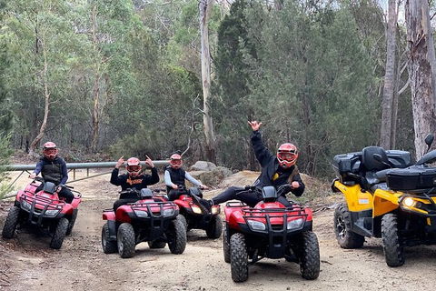 Quad Bike 2-Hour Adventure: Freycinet National Park - Accommodation BNB 4
