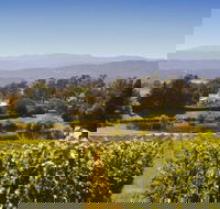 Josef Chromy Wines Winery Tour Including Tasting and Lunch - Accommodation BNB