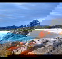 Bay of Fires Day Trip from Launceston - Accommodation BNB