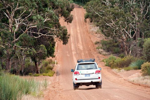 Small-Group Kangaroo Island 4WD Tour From Adelaide - Accommodation BNB 7