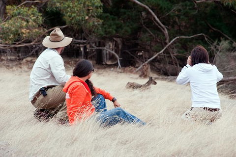 Small-Group Kangaroo Island 4WD Tour From Adelaide - Accommodation BNB 6