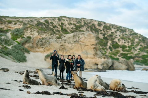 Small-Group Kangaroo Island 4WD Tour From Adelaide - Accommodation BNB 2