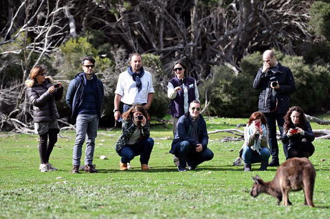 Small-Group Kangaroo Island 4WD Tour From Adelaide - Accommodation BNB 3