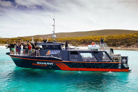 White Shark Tour With Optional Cage Dive From Port Lincoln - Accommodation BNB 7