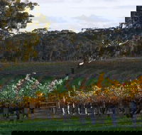 Barossa Valley with Hahndorf Tour from Adelaide - Accommodation BNB