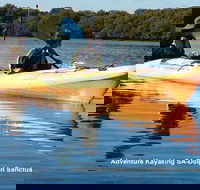 Adelaide Dolphin Sanctuary and Ships Graveyard Kayak Tour - Accommodation BNB