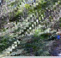 Self-Guided Waterfall Gully to Mount Lofty Hike from Adelaide - Accommodation BNB