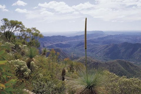 Flinders Ranges & Outback â€“ 3 Day Small Group Eco Safari - Accommodation BNB 1
