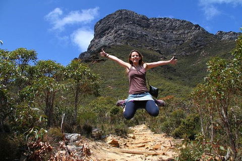 7 Days Camping: Flinders Ranges, Coober Pedy, Kings Canyon, Uluru - Accommodation BNB 0