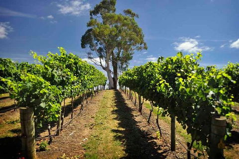 Small Group Adelaide Hills And Hahndorf Hideaway Tour From Adelaide - Accommodation BNB 1