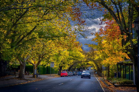 Small Group Adelaide Hills And Hahndorf Hideaway Tour From Adelaide - Accommodation BNB 8
