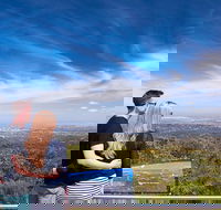 Shore Excursion Adelaide City Sights Cleland Wildlife Mount Lofty Penfolds - Accommodation BNB