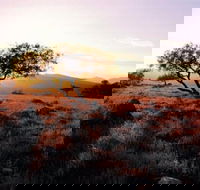 Adelaide To Coober Pedy 7 DAY SMALL GROUP 4WD SAFARI - Accommodation BNB