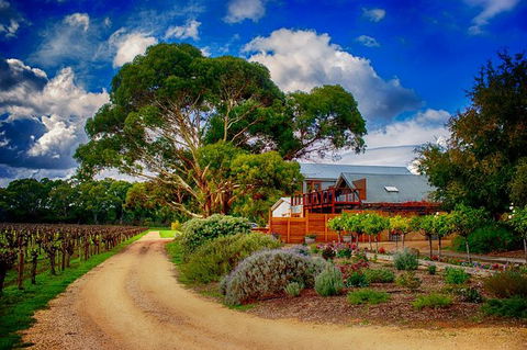 Langhorne Creek Wine Region Small Group Day Trip From Adelaide Or Glenelg - Accommodation BNB 2