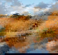 Small-Group Fleurieu Peninsula Food and Wine Experience by 4WD Including 3-Course Lunch - Accommodation BNB