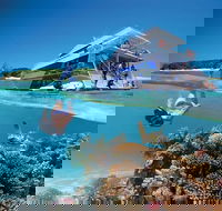 3-Day Southern Great Barrier Reef Tour Including Lady Musgrave Island - Accommodation BNB