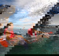 Moreton Island Day Trip Kayak Snorkel  Sandboard frm Brisbane or Gold Coast - Accommodation BNB