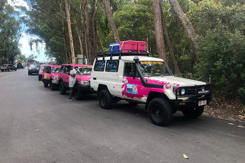 2-Day Fraser Island 4WD Tag-Along Tour At Beach House From Hervey Bay - Accommodation BNB 6