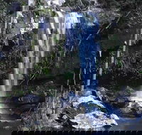 You Choose the Tour Brisbane Private Chauffeur Driven Personal Tour - Accommodation BNB